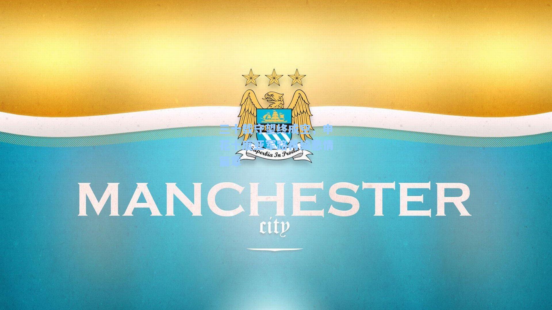 三十载守望终成空，申花十度亚军路再续悲情篇章